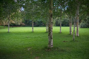 scp_o140818_DSC4275_v1ILCE-7_s.jpg scp_o140818_DSC4275_v1ILCE-7_s.jpg