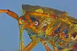 500k_2014-09-28-17.03.14 ZS PMax2_bearbeitet-1_edited22.jpg