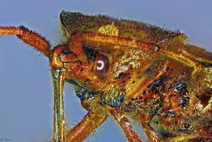 500k_2014-09-28-17.03.14 ZS PMax2_bearbeitet-1_edited_3.jpg