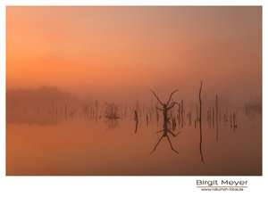 28. September 2014-1.jpg