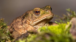 IMG_6383.jpg IMG_6383.jpg