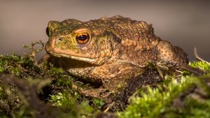 IMG_6387.jpg IMG_6387.jpg