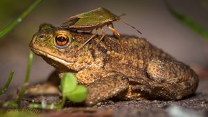 IMG_6433.jpg IMG_6433.jpg