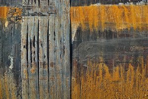 bf_DP2M2015 Kopie.jpg