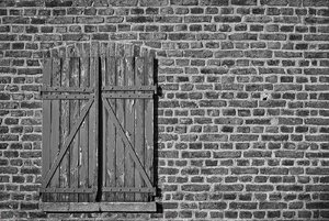 bf_DP2M2082 Kopie.jpg