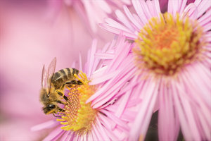 20141003-080-2 bearb..jpg