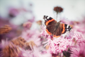 20141001-058-2 bearb..jpg