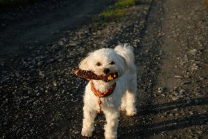 comp_DSC_0064_691bearbeitet.jpg comp_DSC_0064_691bearbeitet.jpg