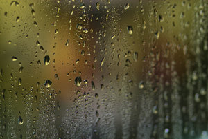 IMG00001.jpg IMG00001.jpg