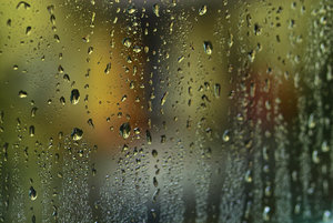 IMG00002.jpg IMG00002.jpg