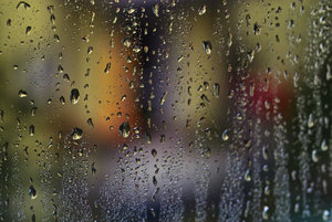 IMG00003.jpg IMG00003.jpg