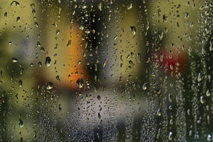 IMG00004.jpg IMG00004.jpg