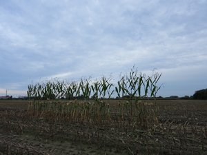 12.10.2014 008 - Kopie.JPG 12.10.2014 008 - Kopie.JPG