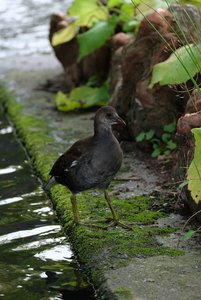 comp_DSCF1759.jpg comp_DSCF1759.jpg