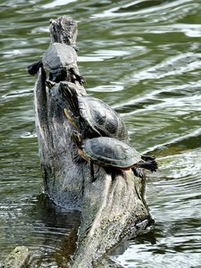 comp_DSCF1765.jpg comp_DSCF1765.jpg