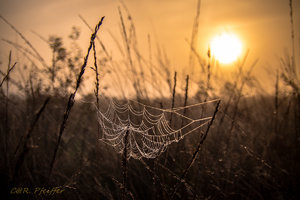 IMG_7702.jpg IMG_7702.jpg