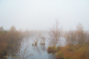 IMG_7713.jpg IMG_7713.jpg