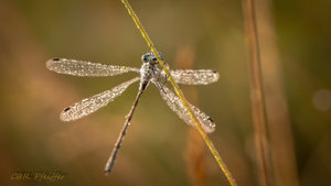 IMG_7759.jpg IMG_7759.jpg