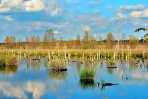 JPG_2245 Kopie Kopie.jpg