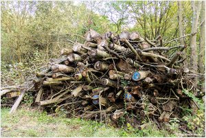 Holzstapel_8312.jpg