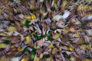 comp_DSC_2302.jpg comp_DSC_2302.jpg