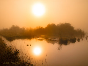 IMG_7764.jpg IMG_7764.jpg