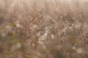 IMG_7858.jpg IMG_7858.jpg