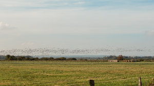 IMG_8679.jpg IMG_8679.jpg