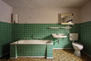 BF_SDIM6218 Kopie.jpg