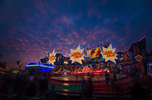 DSC_0559.jpg DSC_0559.jpg