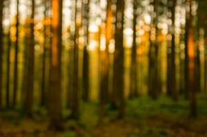 comp_DSC_2453.jpg comp_DSC_2453.jpg