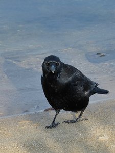 comp_DSCF2342.jpg comp_DSCF2342.jpg