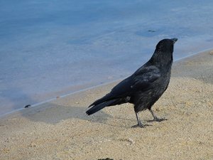 comp_DSCF2343.jpg comp_DSCF2343.jpg