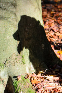 Schatten (1 von 1).jpg