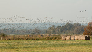 IMG_8664.jpg IMG_8664.jpg