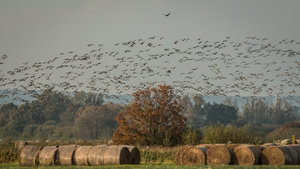 IMG_8668.jpg IMG_8668.jpg