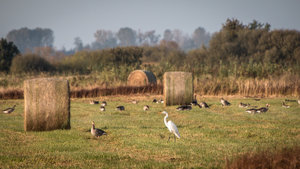 IMG_8893.jpg IMG_8893.jpg