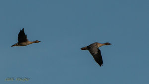 IMG_9018.jpg IMG_9018.jpg