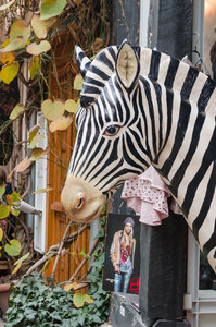 Usertreffen (8 von 4).jpg