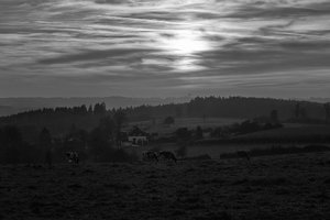 Forum DSC0554678enh_1sw h (c) PPf.jpg