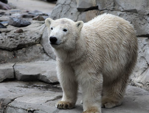 IMG_2216.jpg IMG_2216.jpg