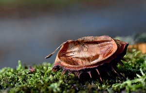 DSC_5077_bearbeitet-1 (Large).jpg