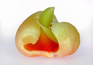 01-fertig.jpg 01-fertig.jpg