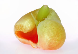 02 - fertig.jpg 02 - fertig.jpg