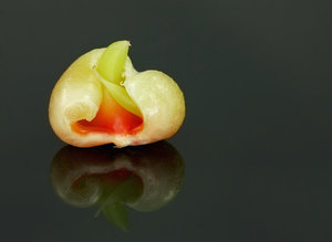 04 - fertig.jpg 04 - fertig.jpg