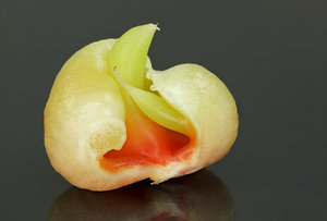 05 - fertig.jpg 05 - fertig.jpg