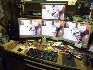 DSCF0920.jpg DSCF0920.jpg