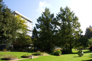 Botanischer Garten Freiburg09.jpg