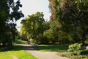 Botanischer Garten Freiburg10.jpg