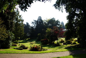 Botanischer Garten Freiburg11.jpg